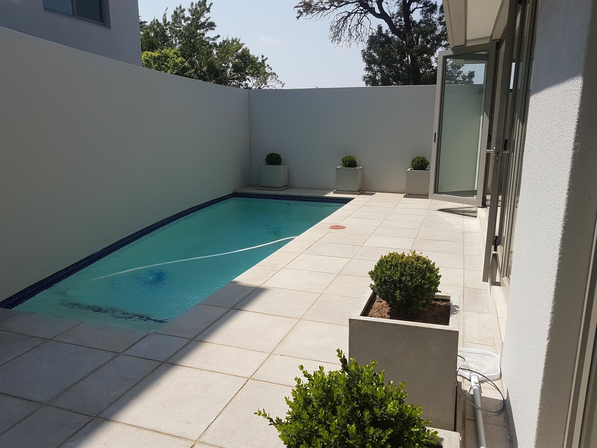 Daisy Place Johannesburg Exteriör bild